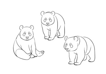 Cute Outline Panda Illustration with Various Poses Isolated Animal Illustration