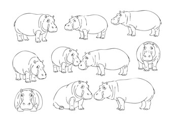 Handdrawn Dotted Line Silhouette Hippopotamus Animal Cute Wildlife Illustration