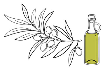 Olive oil bottle line drawing organic cooking minimalist kitchen art