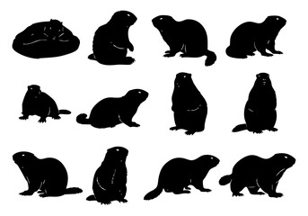 Silhouette Collection of Diverse Groundhog Pose Wildlife Silhouette Illustration