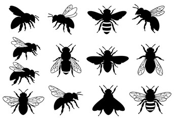 Silhouette Honeybee Insect Black and White Various Poses Illustration