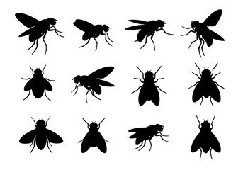 Silhouette Flying Insect Fly Pest Collection Set Different Poses Illustration