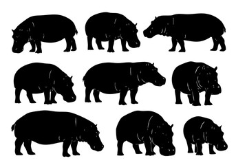 Silhouette Collection Hippopotamus Different Position African Wildlife Animal Illustration