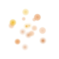 Bokeh Transparent Light Overlay