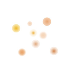 Bokeh Transparent Light Overlay