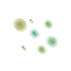 Bokeh Transparent Light Overlay