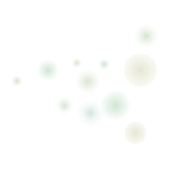 Bokeh Transparent Light Overlay