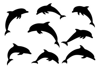 Silhouette Collection of Graceful Dolphin Swimming and Jumping Icon Set Design