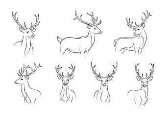 Detailed Outline Drawing of Reindeer with Antlers in Various Poses Illustration
