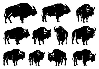 Black Silhouette Group of Bison Wildlife Animal in Various Poses Illustration