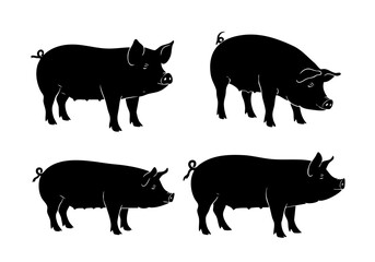 Silhouette Domestic Pig Mammal Farm Animal Livestock Agriculture Illustration