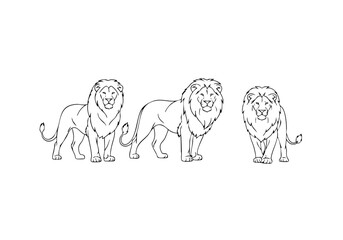 Line Art Three Lions Standing Pose Mammal Animal Illustration
