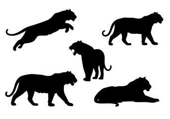 Silhouette Collection Detailed Tiger Animal Shape Black Illustration