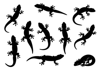 Silhouette Collection Lizard Reptile Silhouette Design Element Illustration