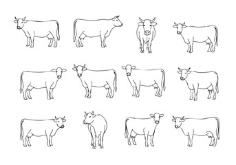 Sketchy Detailed Livestock Cow Cattle Farm Animal Line Art Illustration
