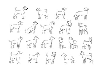 Minimalist Line Drawing Various Dog Breeds Isolated Animal Icon Set