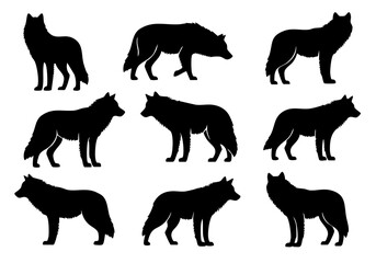 Simple Silhouette Various Standing Position Wolf Animal Illustration