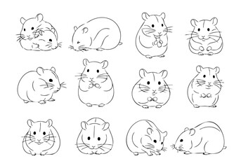Cute Outline Handdrawn Hamster Pose Set Isolated on White Background Illustration
