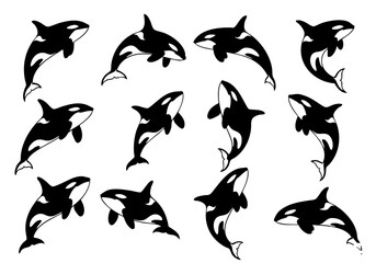 Silhouette Many Orca Whale Set Collection Marine Life Illustration