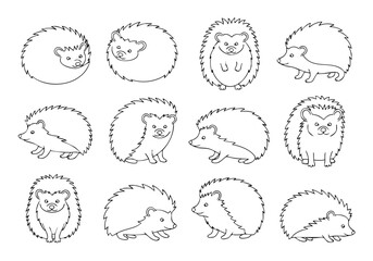 Handdrawn Cute Hedgehog Illustration Set Collection with Different Poses and Outline Style
