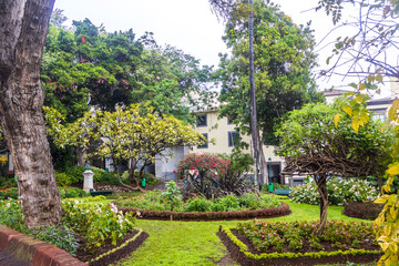 View of Municipal Garden after rain in Funchal, Madeira, Portugal