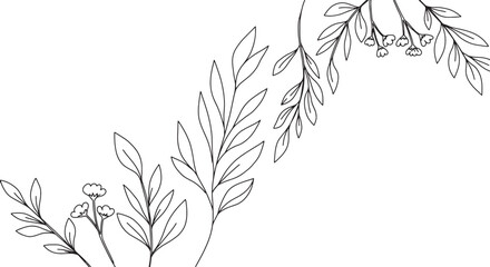 Elegant Minimalist Botanical Illustrations Set of Ten Leaves and Branches
