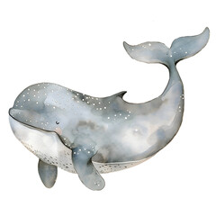 Watercolor PNG of a gentle gray whale, hand-painted in soft tones. Perfect for ocean-themed projects, nursery prints, and marine clipart collections