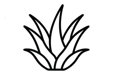 Green aloe vera and cactus plants with vibrant floral illustrations