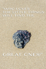 “Who loves the little things will find the great ones.”