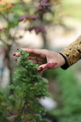 Hand with henna pattern touches plant