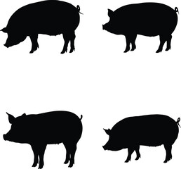 Pig silhouette vector set, farm animal icon, black and white graphic, livestock outline illustration, simple pig shape
