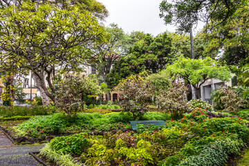 View of Municipal Garden after rain in Funchal, Madeira, Portugal