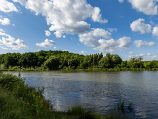 A body of water surrounded by trees and grass