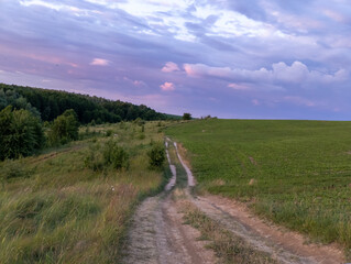 A dirt road in the middle of a grassy field