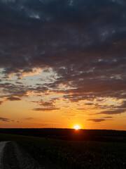 A dirt road in the middle of a field at sunset