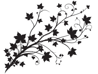 ivy vine silhouette vector, elegant black floral decorative border or corner design, isolated on white background vector