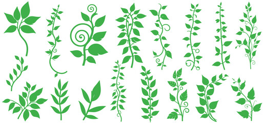 Liana plants. Tropical climbing creepers branches with moss, rainforest flora flat vector illustration isolated on white background