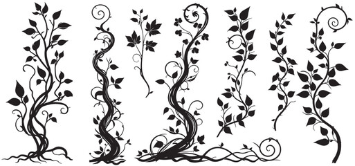 Jungle creeper silhouettes. Tropical forest lianas, rainforest hanging sprouts. Climbing liana vines flat set vector illustration © shahzad