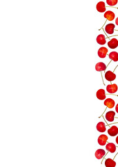 さくらんぼフレーム_Very cute cherry line_tall_06_red