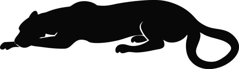 Black panther silhouette resting on the ground depicting graceful wild animal shape © MdHabibur