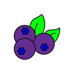 Blueberries