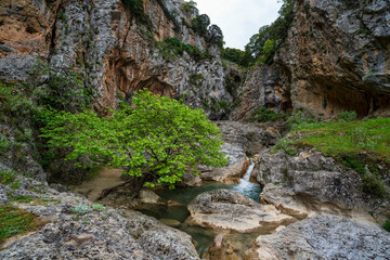 Leafy cascade within Saint Luke Gorge Greece