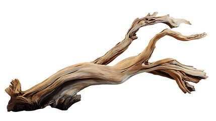 Natural Driftwood Branch Isolated on White Background
