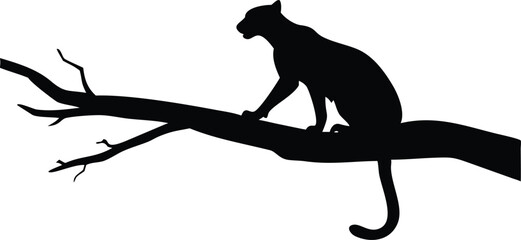 Black silhouette of a panther perched on a tree branch isolated on white