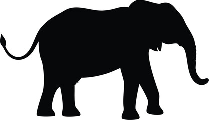 Silhouette of a large african elephant walking with its trunk extended forward