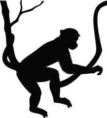 Silhouette of a monkey hanging on tree branches in a simple and minimalist illustration