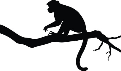 Silhouette of a monkey perched on a tree branch with black and white background