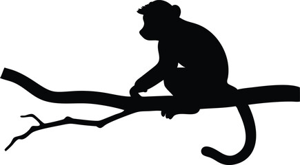 Silhouette of a monkey sitting on a tree branch against a clean white background
