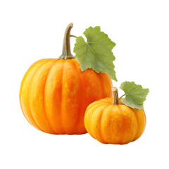 Whole and half pumpkin with leaf png