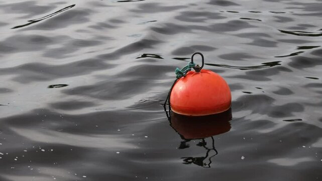A single red buoy floating on the surface of calm waters, perfect for use in scenes about sailing, navigation or safety